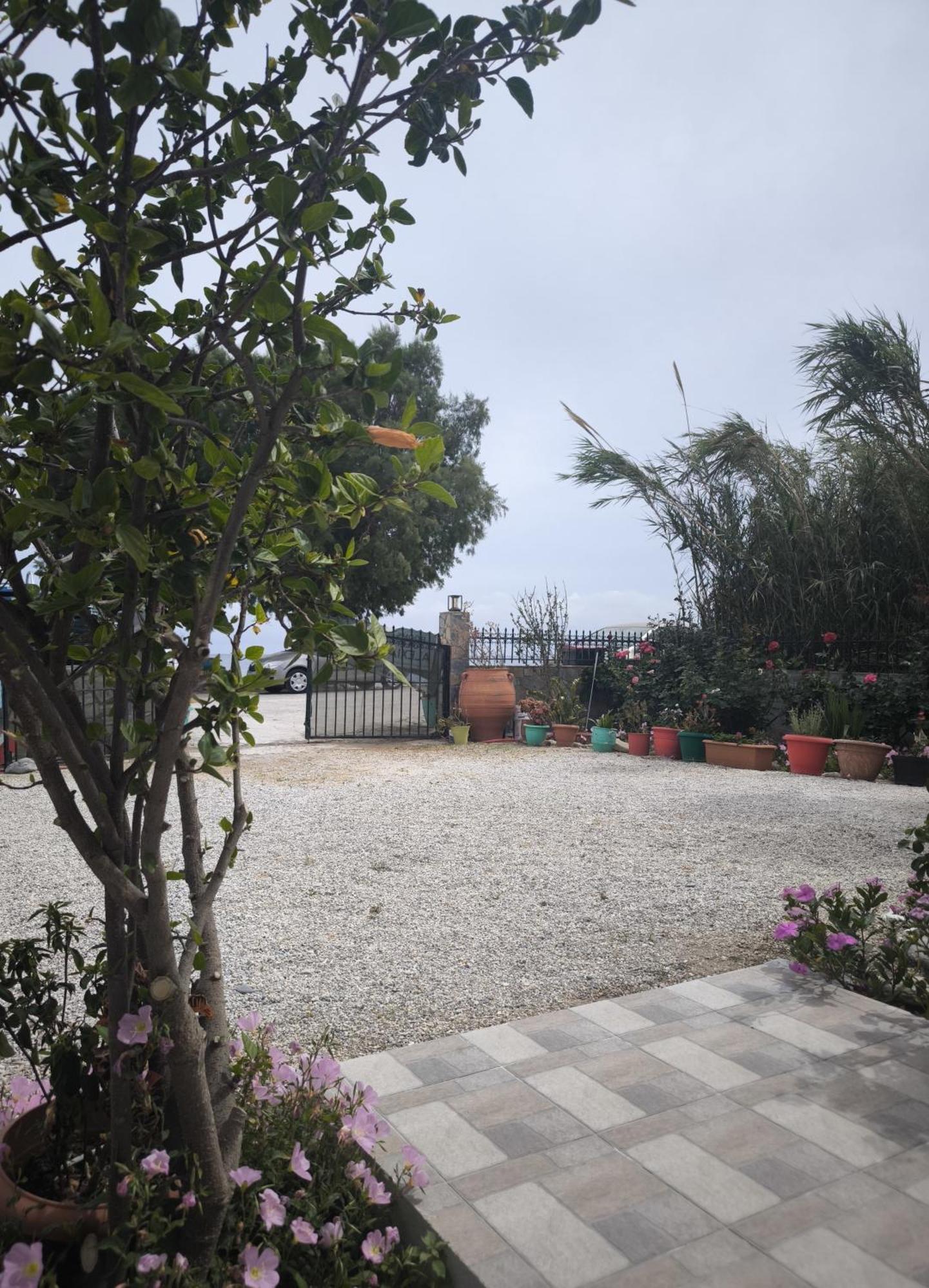 Alexia Rooms Palaiochora Exterior photo