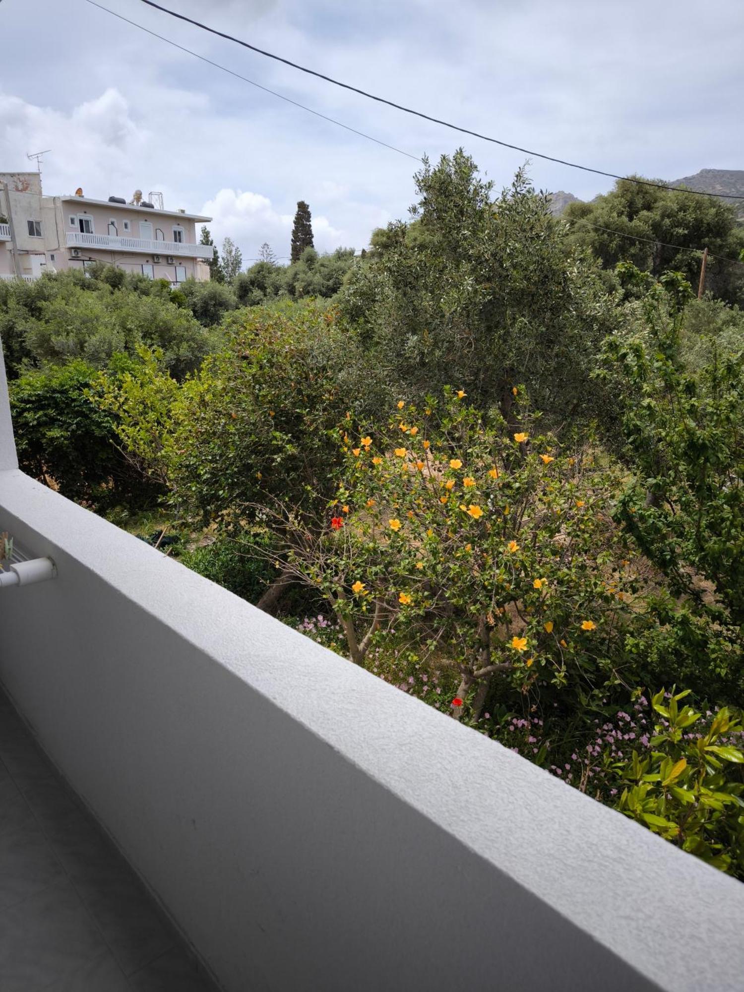 Alexia Rooms Palaiochora Exterior photo